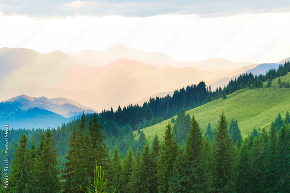 Landscape with blue mountains and forest at sunset