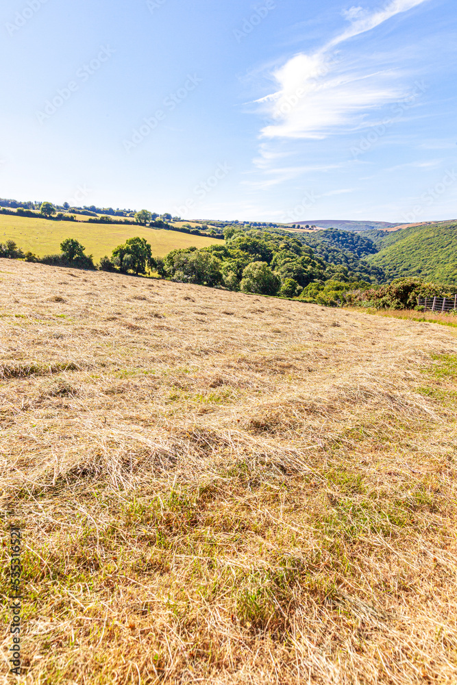 A field of mown hay on Exmoor National Park at Cloutsham, Somerset UK