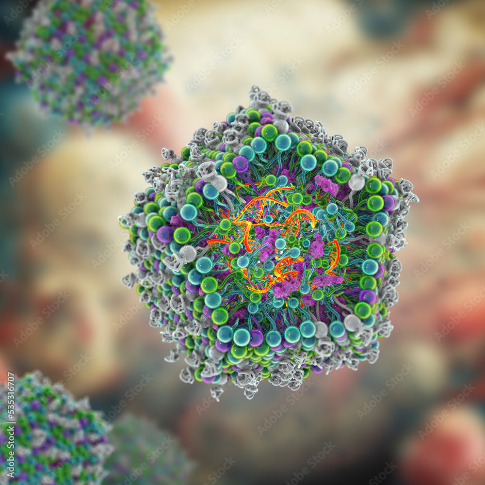 Lipid nanoparticle mRNA vaccine Lipid nanoparticle mRNA vaccine
