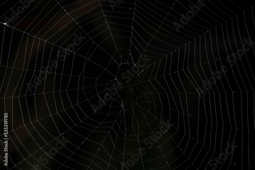Real spider web © PixieMe