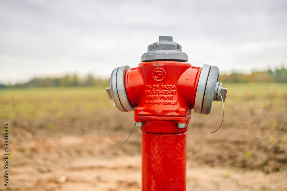 Red fire hydrant standing in park closeup