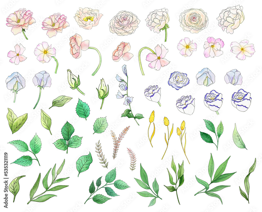 Watercolor spring set of flowers and leaves, isolated on transparent background