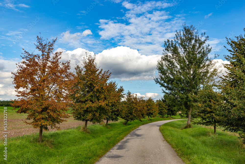 Road between fields. Trees near a road. Early autumn. Road between fields. Trees near a road. Early autumn.