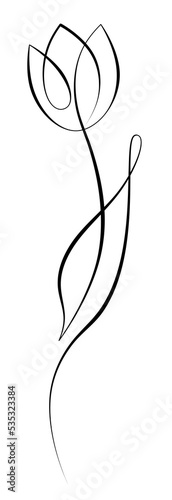 Lonely flower. Isolated illustration of a tulip on a white background. Line art