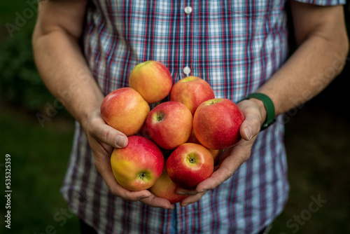 Man holding freshly picked red Gala apples.