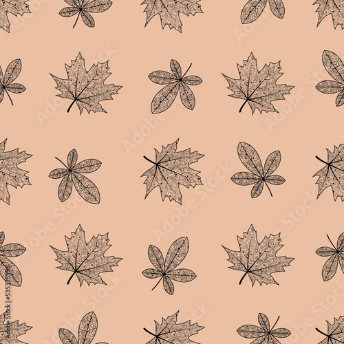 Seamless pattern with oak and maple leaves . Leaves with a beautiful ornament. Vector isolated background. Texture for textiles or wrapping paper, wallpaper, autumn pattern. © Nadezhda