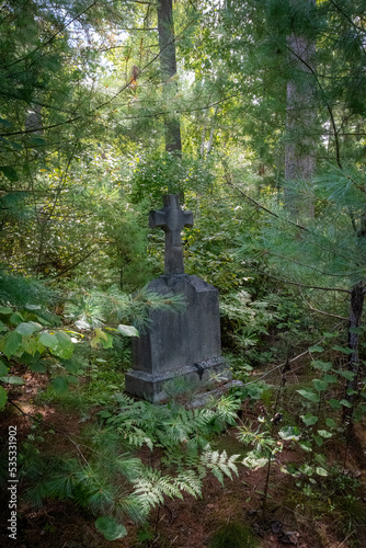 An old pioneer gravestone stands abandoned and forgotten in a cemetery being overtaken by forest in Byng Inlet, Ontario.