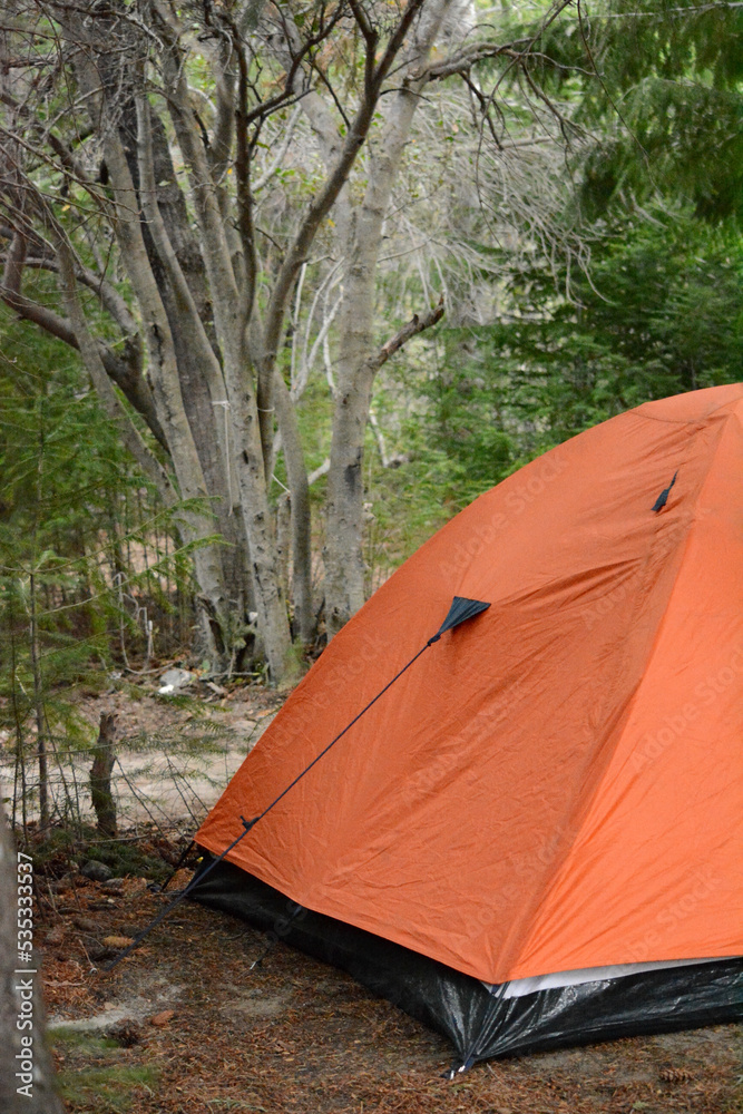 orange tent at a campsite in the woods