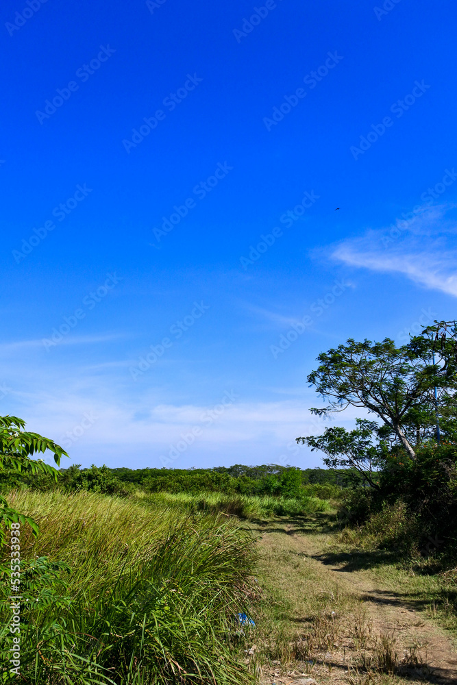 Beautiful bright blue sky in savannah in Indonesia Beautiful bright blue sky in savannah in Indonesia