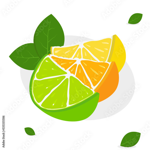 Lemon orange lime slices with leaves citrus vector	