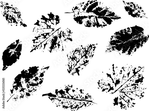 Drawn autumn leaves. Texture. Leaf imprint. Silhouette. Autumn. October. Set of elements for decor. Autumn holidays. Wood. Maple. Oak.