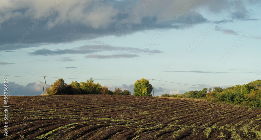 Panorama pól uprawnych na czarnoziemiach, najwyższej klasy gleb uprawnych w Polsce przy granicy z Ukrainą.  - obrazy, fototapety, plakaty 