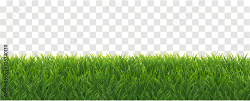 Green Grass Border With Transparent Background