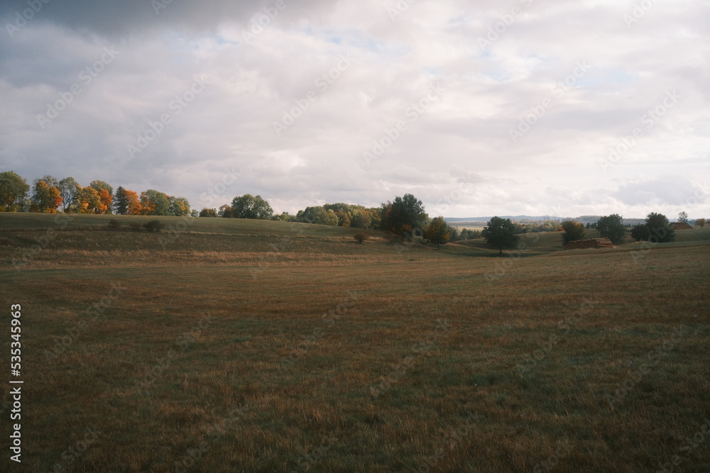 Herbstliche Landschaft auf einer Weide im Harz Herbstliche Landschaft auf einer Weide im Harz