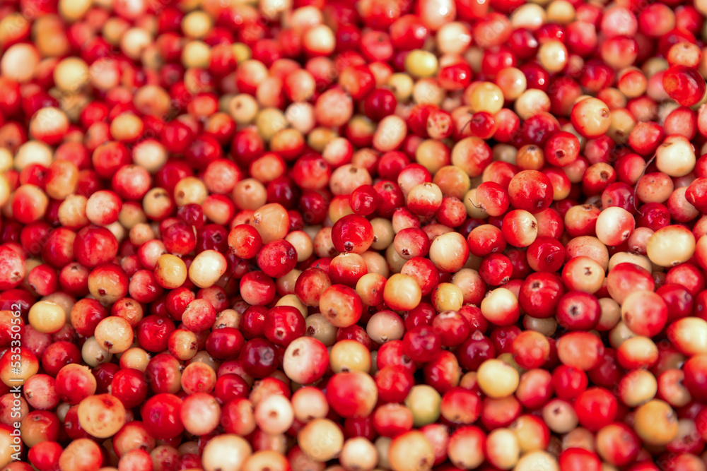 Cranberries. Red and orange background of ripe juicy autumn berries. Cranberries. Red and orange background of ripe juicy autumn berries.
