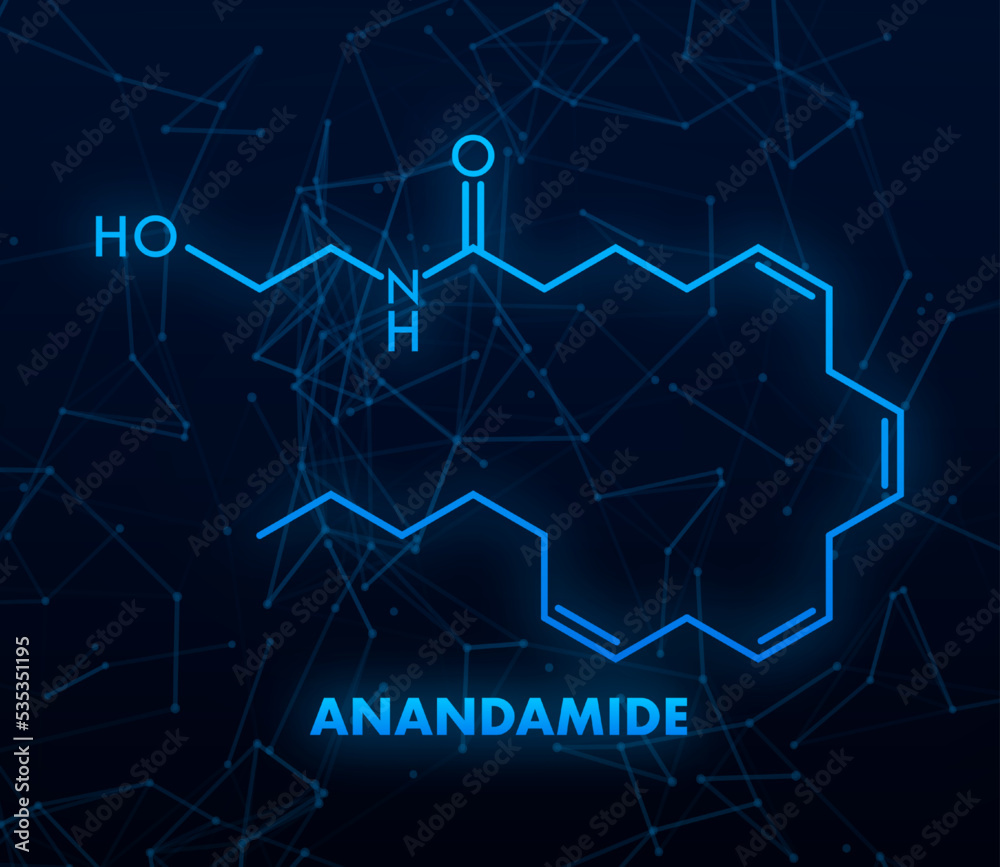 Obraz premium Anandamide concept chemical formula icon label, text font vector illustration