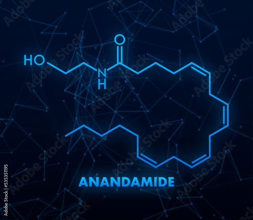Anandamide concept chemical formula icon label, text font vector illustration