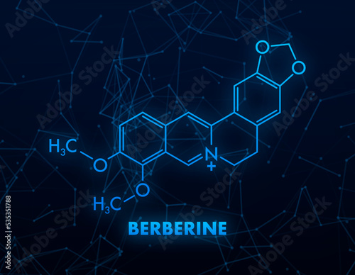 Berberine concept chemical formula icon label, text font vector illustration photo