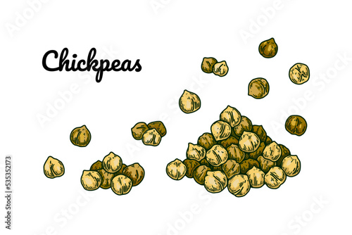 Hand drawn chickpeas beans. Colorful botany vector illustration in sketch style