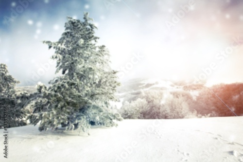 Beautiful highland snow scene with trees background