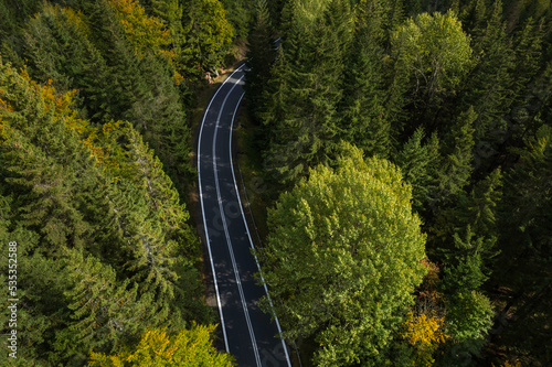 winding mountain road in a green forest (aerial view) © ptyszku