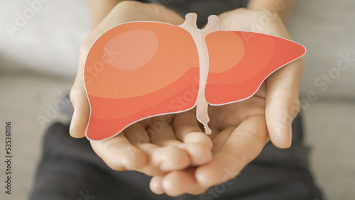 Man holding liver, hepatitis vaccination, liver cancer treatment, world hepatitis day photo