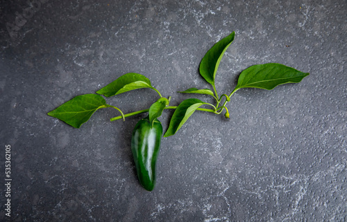 Green jalepeno with leaves on a granite surface