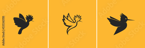 hoopoe bird logo design template set photo