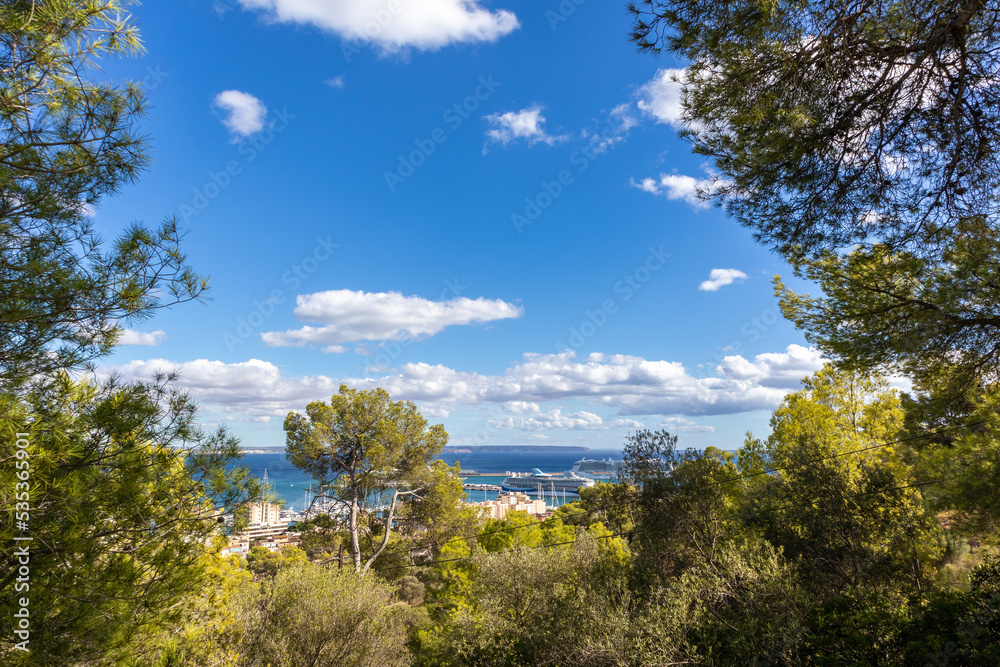 Aussicht auf dem Weg zum Castell de Bellver | Burg | Palma de Mallorca | Spanien | Aussicht auf dem Weg zum Castell de Bellver | Burg | Palma de Mallorca | Spanien |