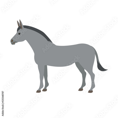 Vector flat hand drawn donkey isolated on white background