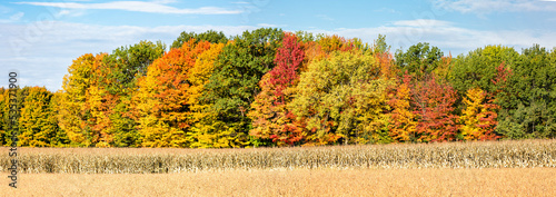 Wisconsin corn, soybeans and colorful autamn trees in October