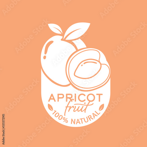 fresh apricots fruit vector illustration