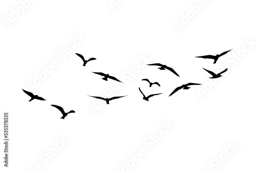 flying seagull birds © thawats