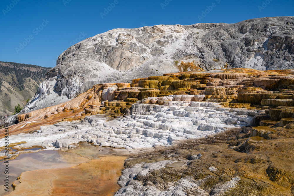 Naklejka premium Mammoth Hot Springs Terraces, Yellowstone National Park.