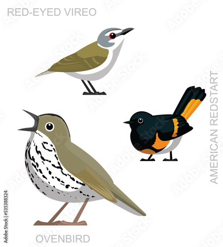 Cute Bird Ovenbird American Redstart Set Cartoon Vector