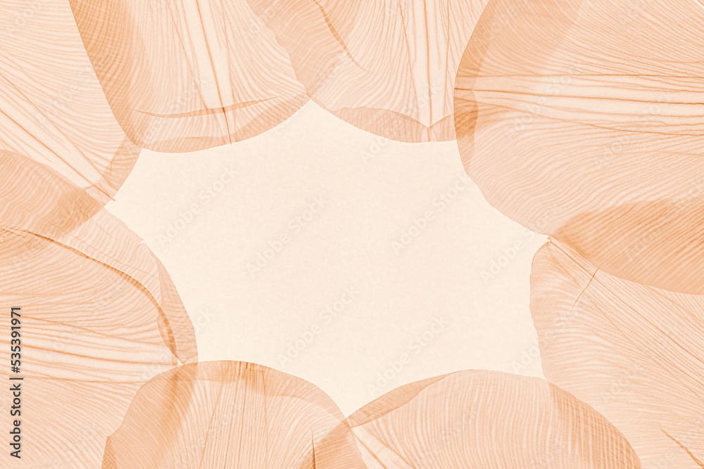 Nature abstract of flower petals, beige transparent leaves with natural