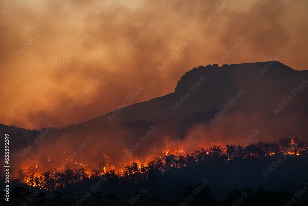wild fire , forest fire increase temperature summer smoke global warming and climate change