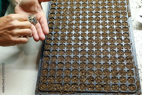 Plastic tray used for planting seedlings
