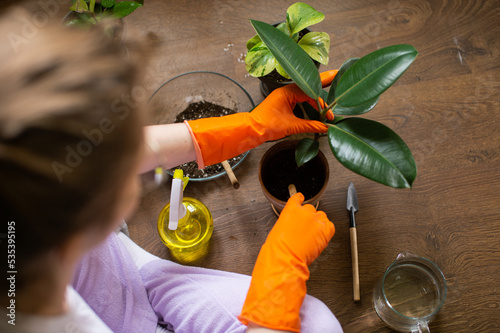 Woman potting plant at home