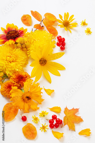 Fototapeta Naklejka Na Ścianę i Meble -  autumn flowers and leaves on white paper background