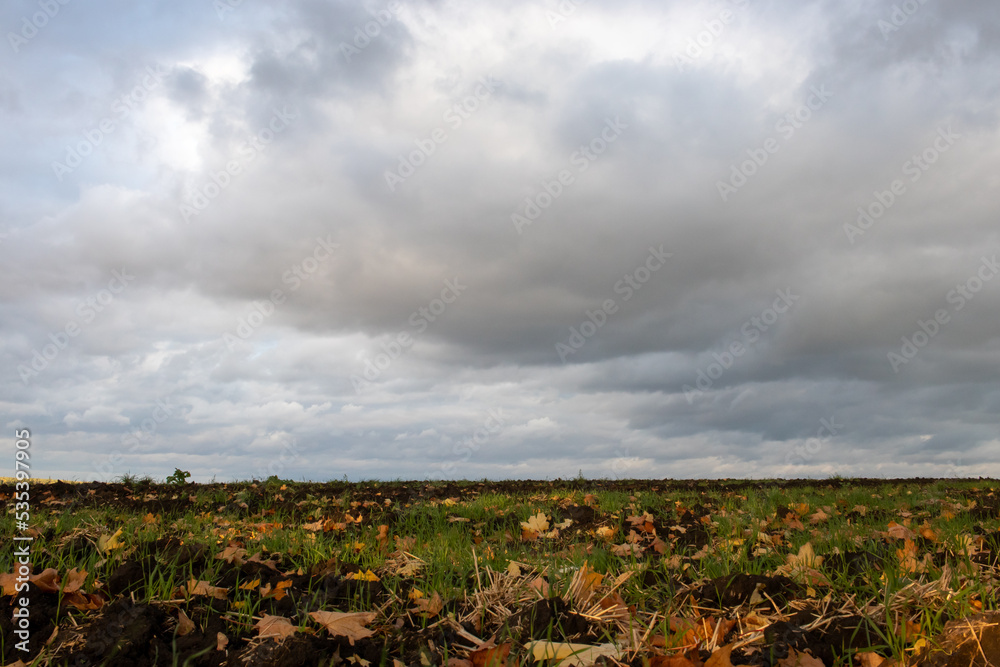 Autumn landscape with a plowed field and stormy dramatic sky. Clouds over the field