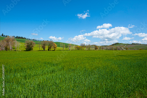 Green hills of Tuscany