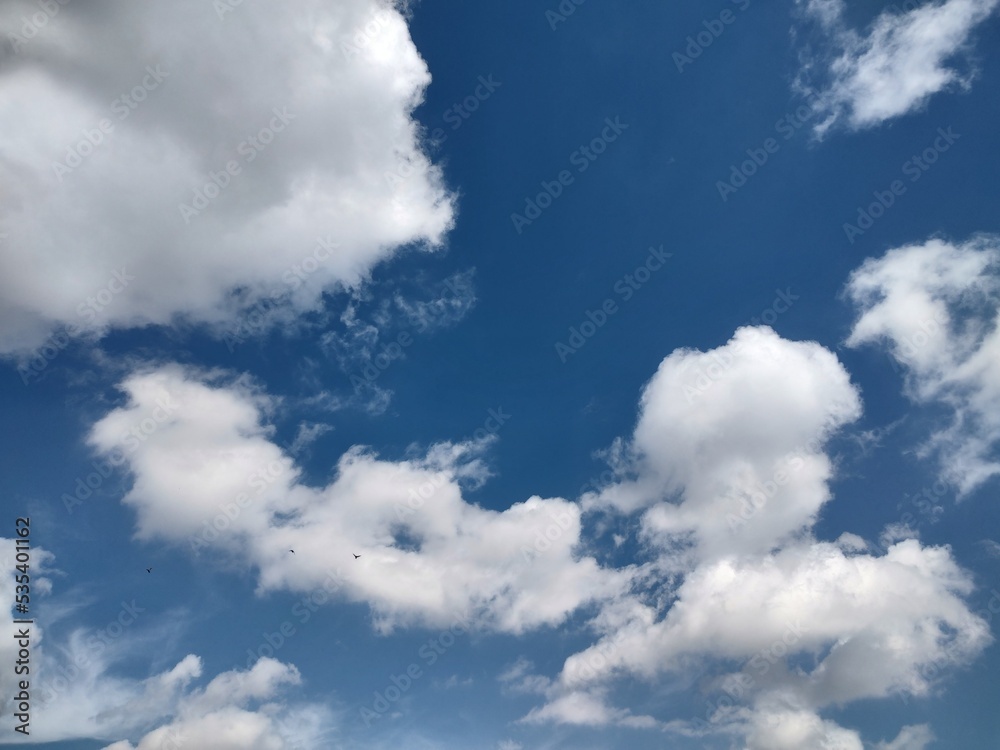 Fototapeta premium 東京のそら(22.10.4)