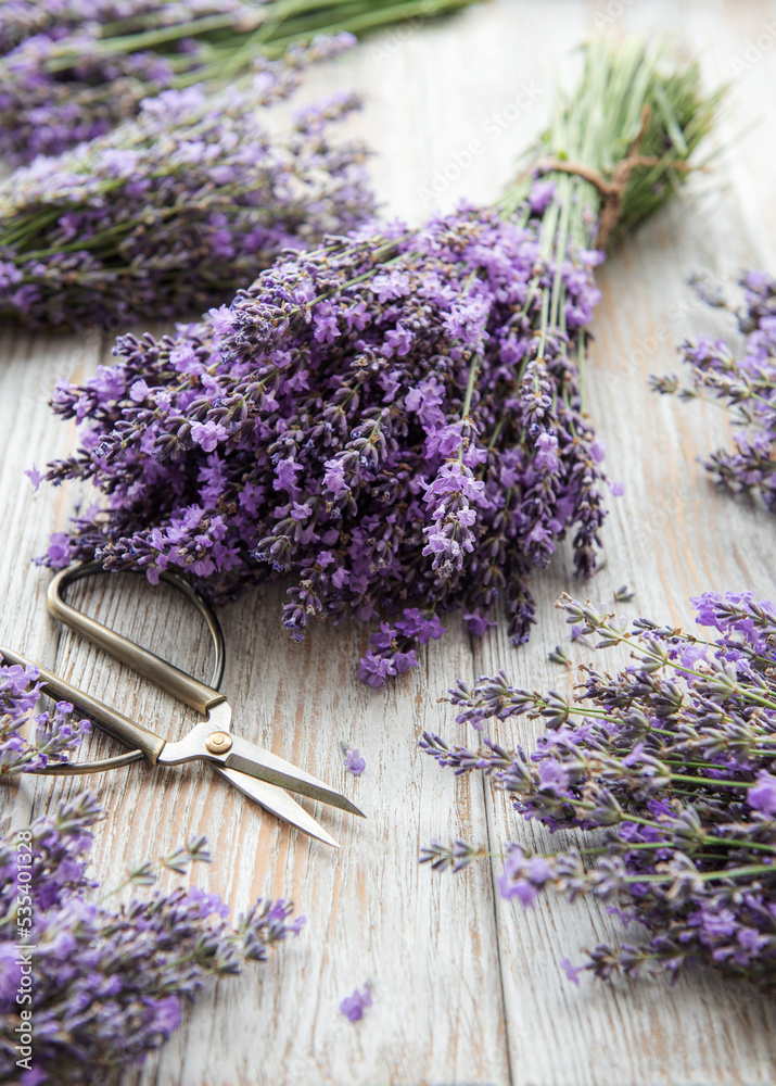 Seasonal pruning of lavender. Seasonal pruning of lavender.