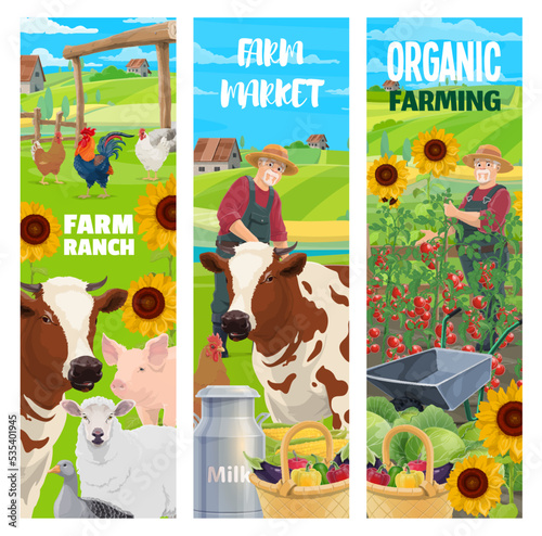 Farm animals and farmer on field. Agriculture vertical backgrounds, vector banners with senior farmer man in straw hat, cow, sheep and pig, hen and rooster, ripe vegetables harvest countryside scene