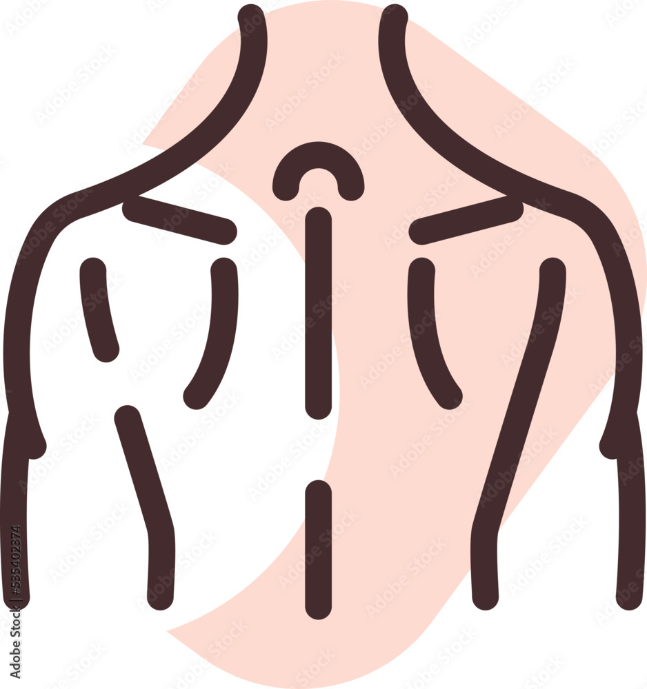 Obraz premium Back muscles, illustration, vector on a white background.