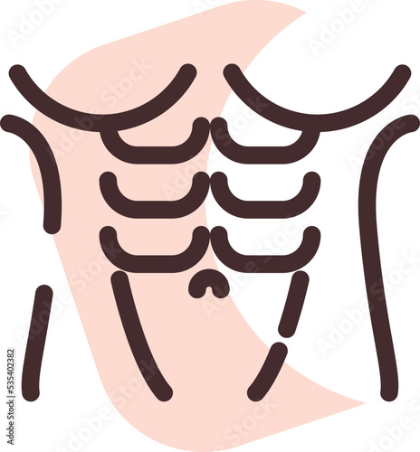 Abdomen muscles, illustration, vector on a white background.