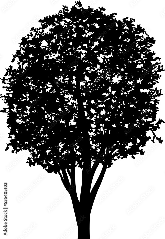 Fototapeta premium Tree silhouettes for landscape design. PNG illustration.