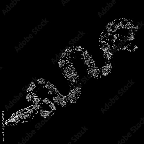 Red Tail Boa (common boa) hand drawing. Vector illustration isolated on black background.