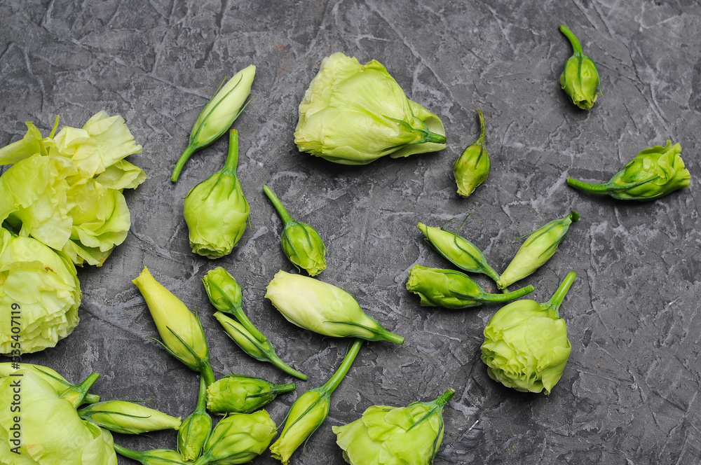 Naklejka premium hops on a wooden table